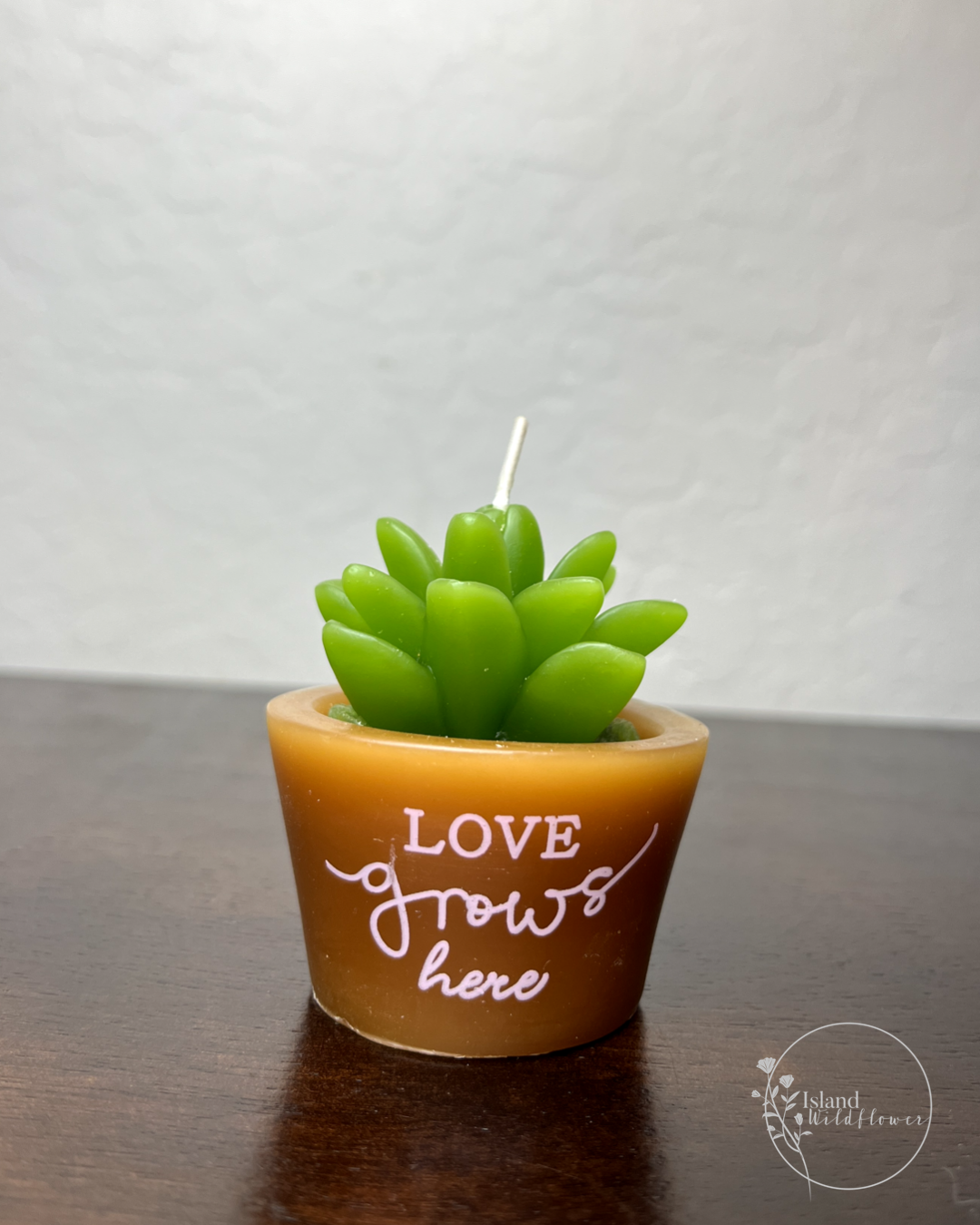 Succulent Pot Candles