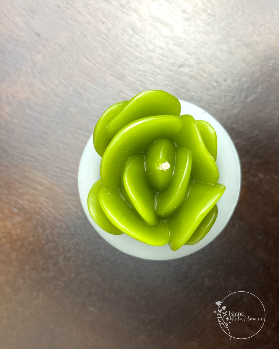 Succulent Pot Candles