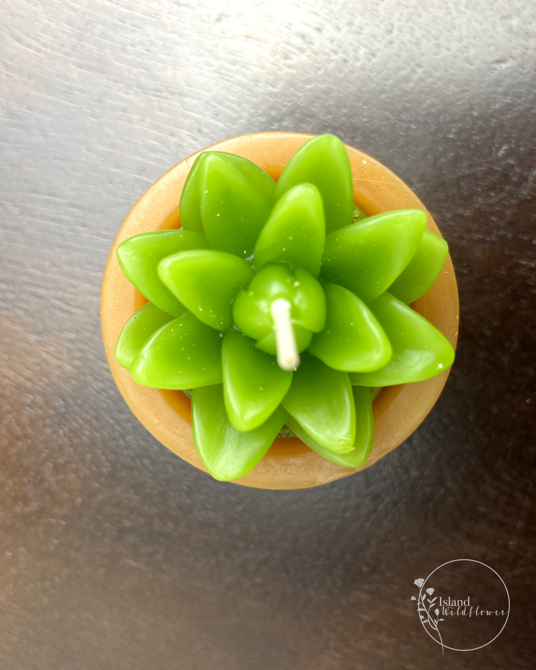 Succulent Pot Candles