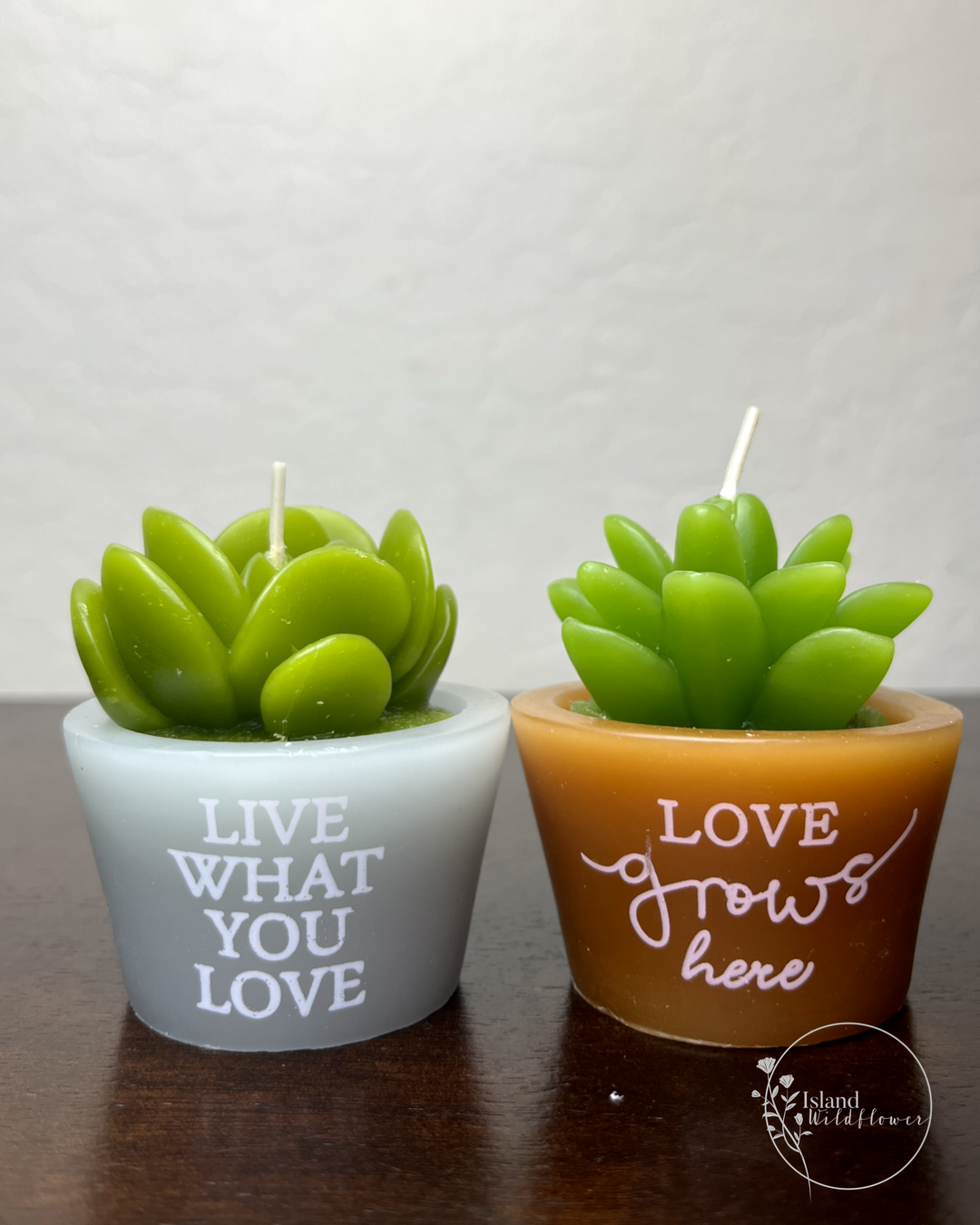 Succulent Pot Candles