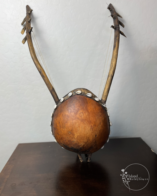 African Calabash Gourd String Instrument