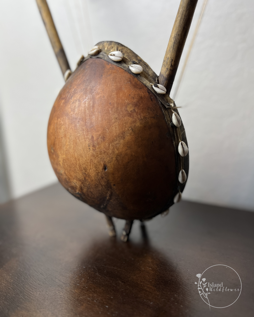 African Calabash Gourd String Instrument